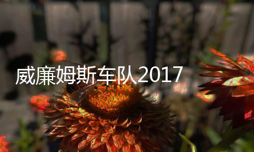 姆斯 马姆车队役再复出加入威廉威廉车队萨退